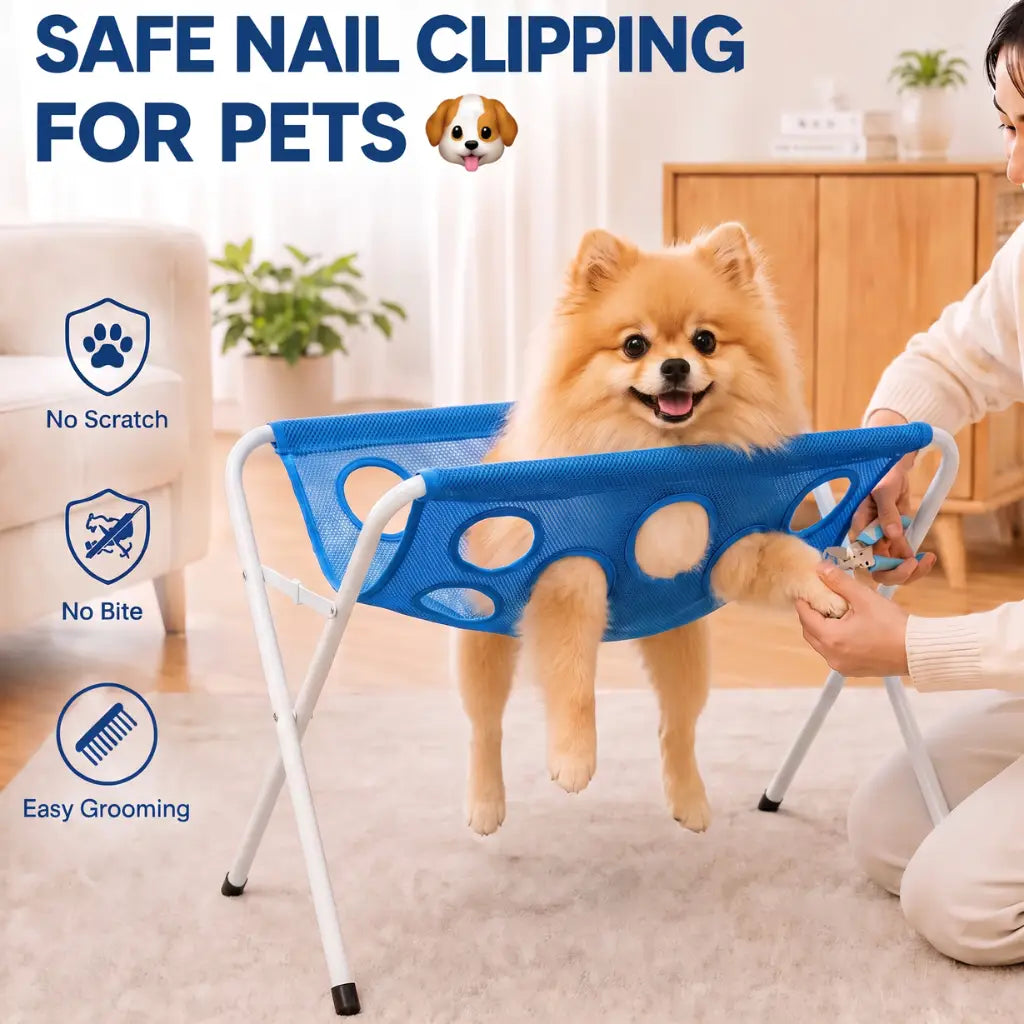 Pet Bath at Home